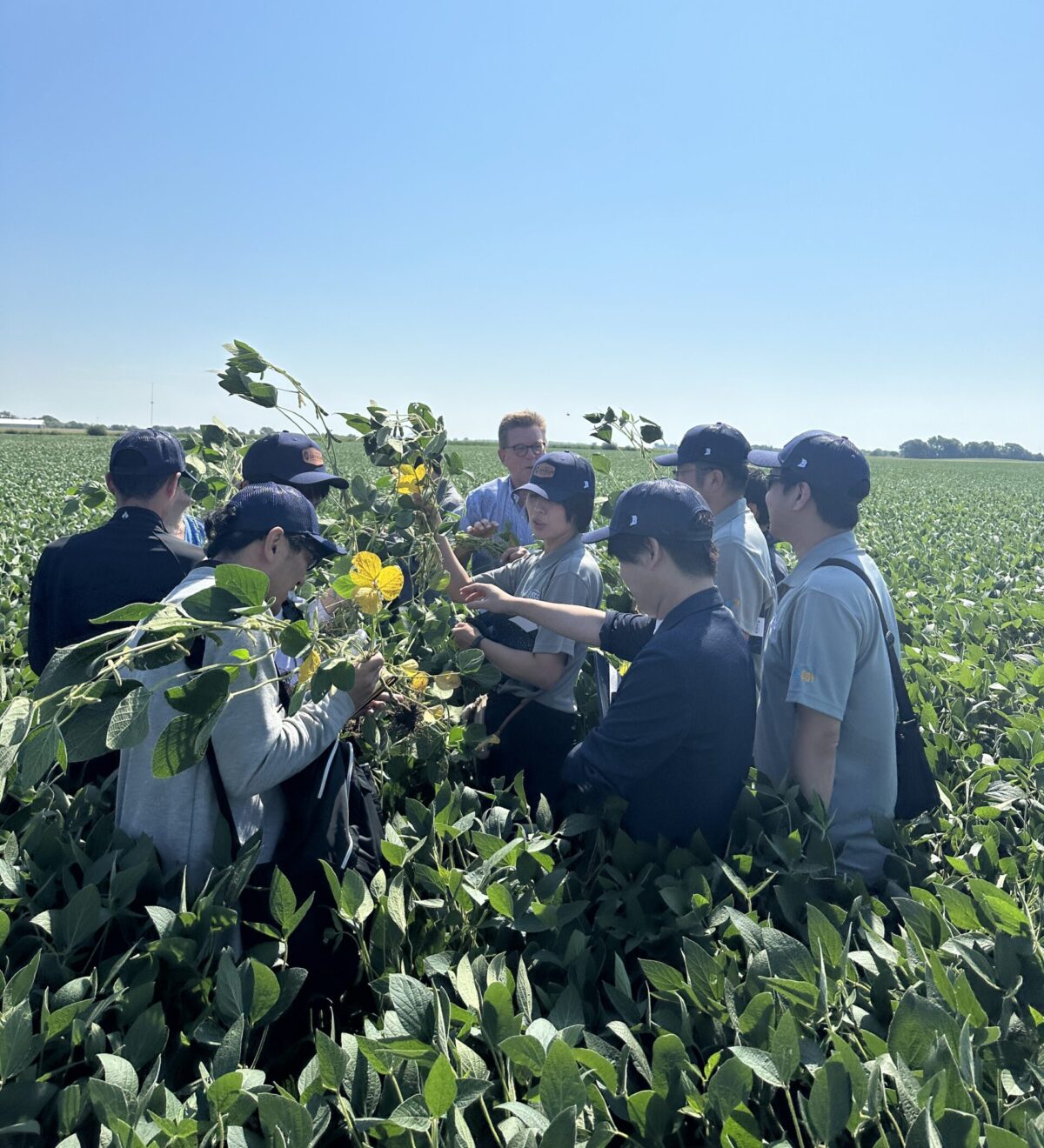 Asian Trade Teams Visit Illinois Soybean Farms Illinois Soybean