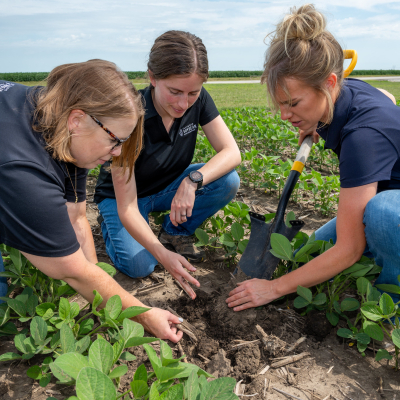 On Farm Field Trial Sites